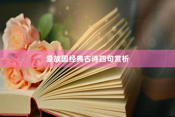 爱故国经典古诗四句赏析